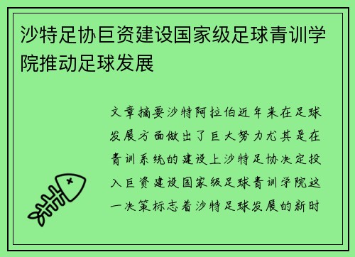 沙特足协巨资建设国家级足球青训学院推动足球发展 沙特足协巨资建设国家级足球青训学院推动足球发展
